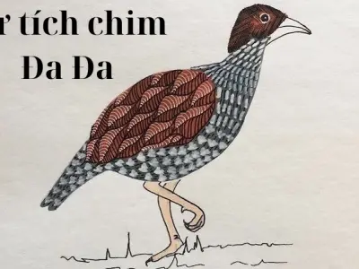 Tóm tắt truyện cổ tích Việt Nam – Sự tích chim Ða Ða