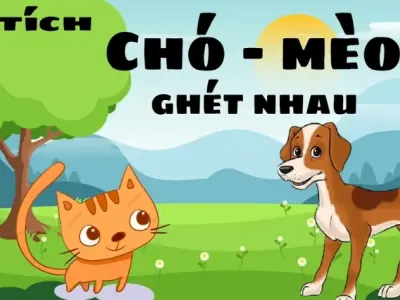 Tóm tắt truyện cổ tích Việt Nam - Sự tích chó mèo ghét nhau