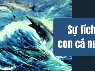 Sự tích con cá nược – Truyện cổ tích Việt Nam hay nhất