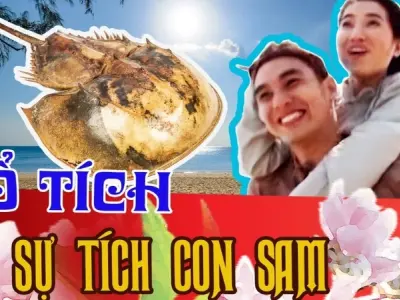 Tóm tắt truyện cổ tích Việt Nam: Sự tích con Sam hay