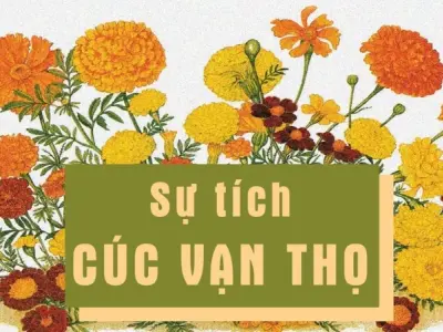 Tóm tắt truyện cổ tích Việt Nam – Sự tích hoa Cúc vạn thọ