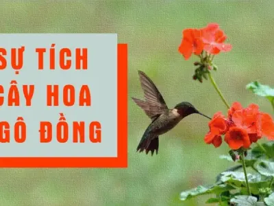 Tóm tắt truyện cổ tích Việt Nam - Sự tích hoa ngô đồng