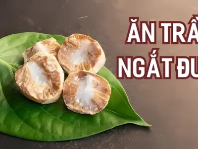 Tóm tắt truyện cổ tích Tại sao có tục “Ăn trầu ngắt đuôi”