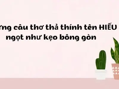 Những câu thơ thả thính tên Hiếu ngọt như kẹo bông gòn