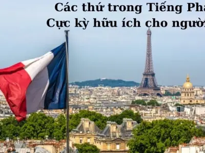 Các thứ trong Tiếng Pháp - Cực kỳ hữu ích cho người học