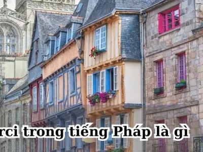 Merci trong tiếng Pháp là gì? Ý nghĩa và cách dùng
