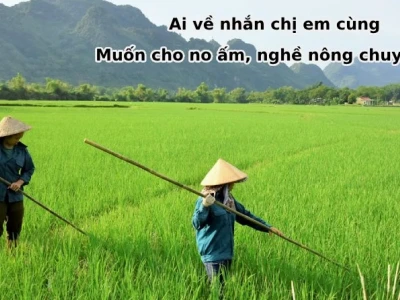 60+ Câu Ca Dao Tục Ngữ Về Lao Động Sản Xuất, Cần Cù Và Sáng Tạo