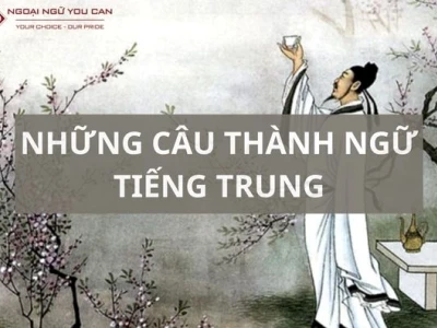 Những Câu Tục Ngữ Trung Quốc Thâm Thúy: Kho Tàng Tri Thức Về Cuộc Sống