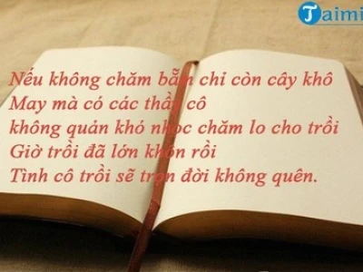 Tuyển tập câu ca dao, tục ngữ ý nghĩa về thầy cô giáo