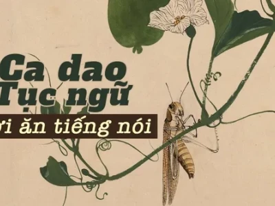 Ý nghĩa sâu sắc của câu ca dao, tục ngữ Việt Nam