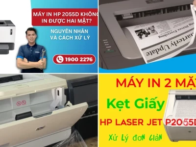 Khắc phục Máy in HP P2055D Không In 2 Mặt Tự Động Hiệu Quả