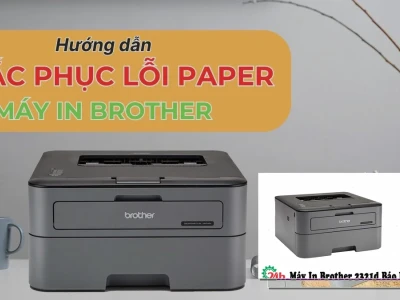 Máy In Brother 2321D Báo Lỗi Paper Nguyên Nhân Và Cách Khắc Phục