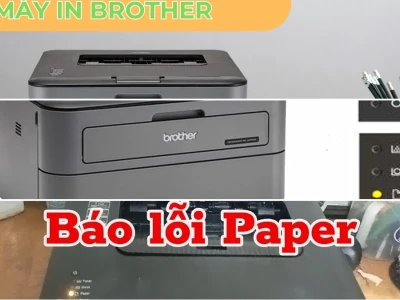 Máy In Brother HL-L2321D Báo Lỗi Paper Nguyên Nhân và Cách Xử Lý Hiệu Quả