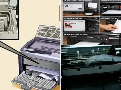 Máy In Epson L805 Không Nhận Giấy Nguyên Nhân Và Cách Khắc Phục